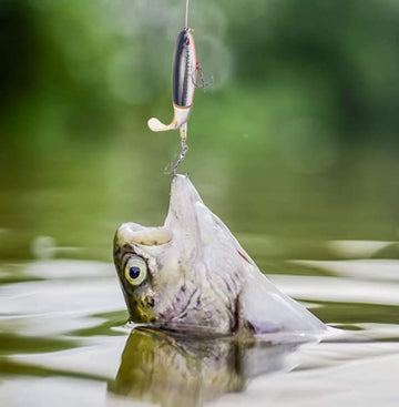 Gift-ready YOUHOT fishing lures kit for anglers