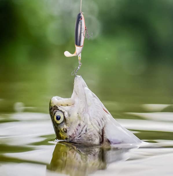 Gift-ready YOUHOT fishing lures kit for anglers