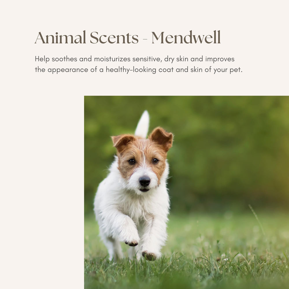 Young Living Mendwell application scene showing simple steps for soothing dry skin