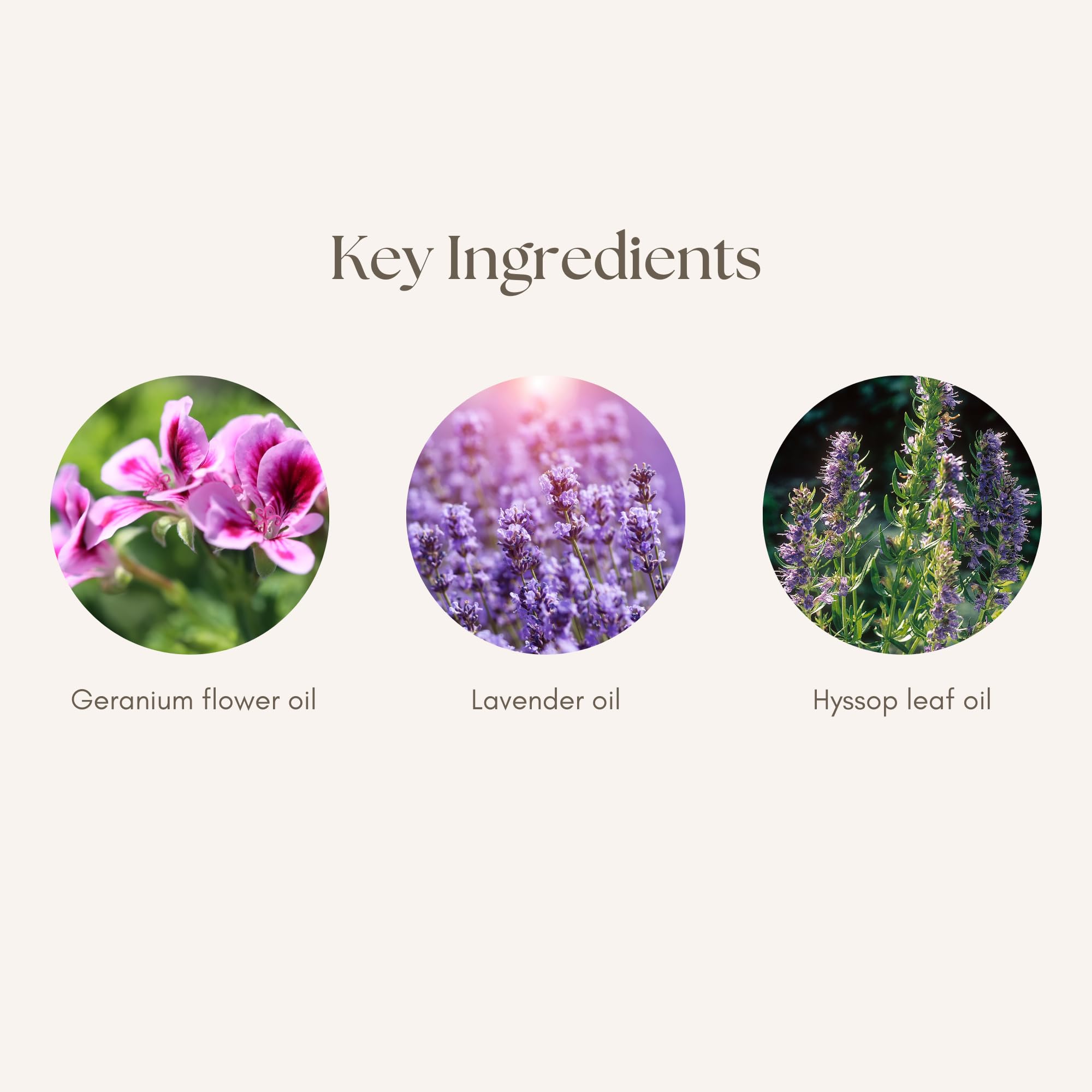 Young Living Mendwell calming-aroma image promotes a relaxed pet environment