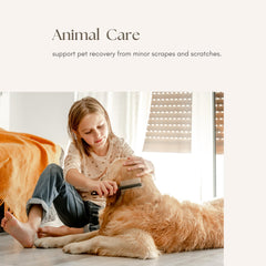 Young Living Mendwell skin-care focus emphasizes coat conditioning and moisture