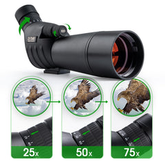 YUANZIMOO tripod with phone adapter enabling easy distant-photo capture