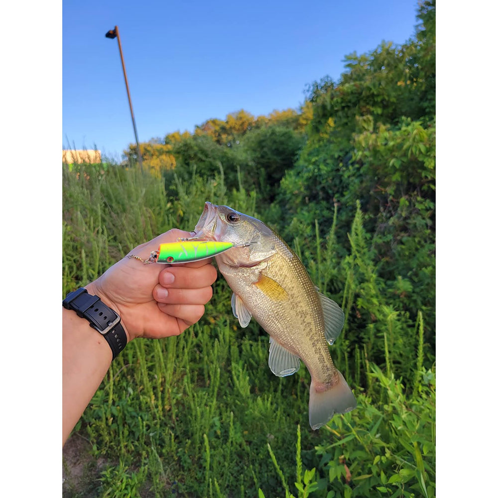 Packaging and 10 lures included