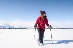 Snow and trekking baskets included with Yukon Charlie's Elite Trekking Poles for year-round use