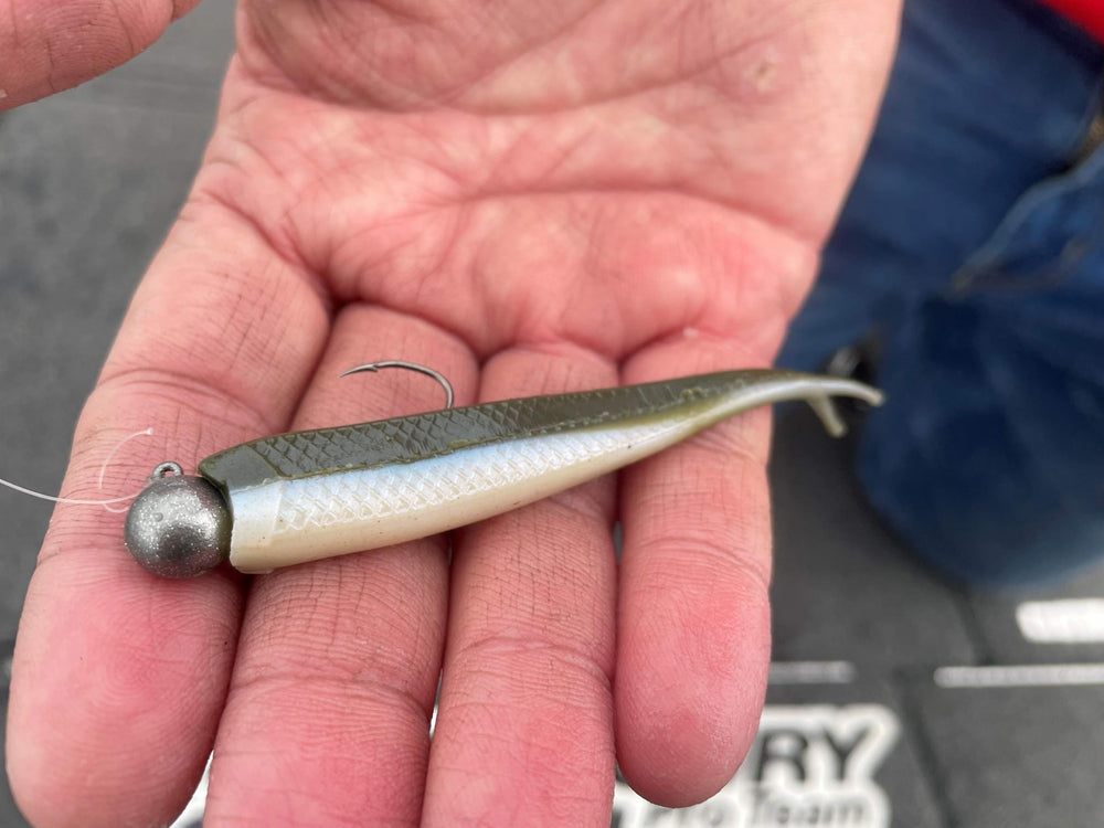 YUM FF Sonar Minnow lure profile highlights color and buoyant action