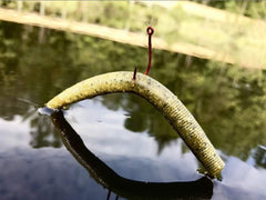 Yum Lures Dinger soft-plastic close-up shows lifelike action to attract bass