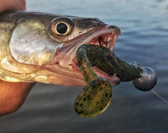 Yum Lures Pulse swimbait side profile reveals ribbed body and swimming motion