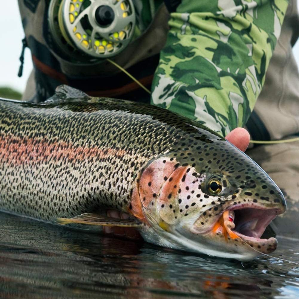 Close-up of trout flies from YZD kit view 1