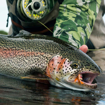 Close-up of trout flies from YZD kit view 1