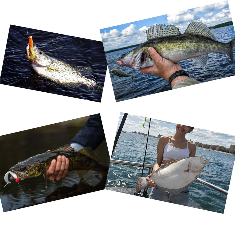 Set of six ZASIE Carolina Rigs ready for fishing