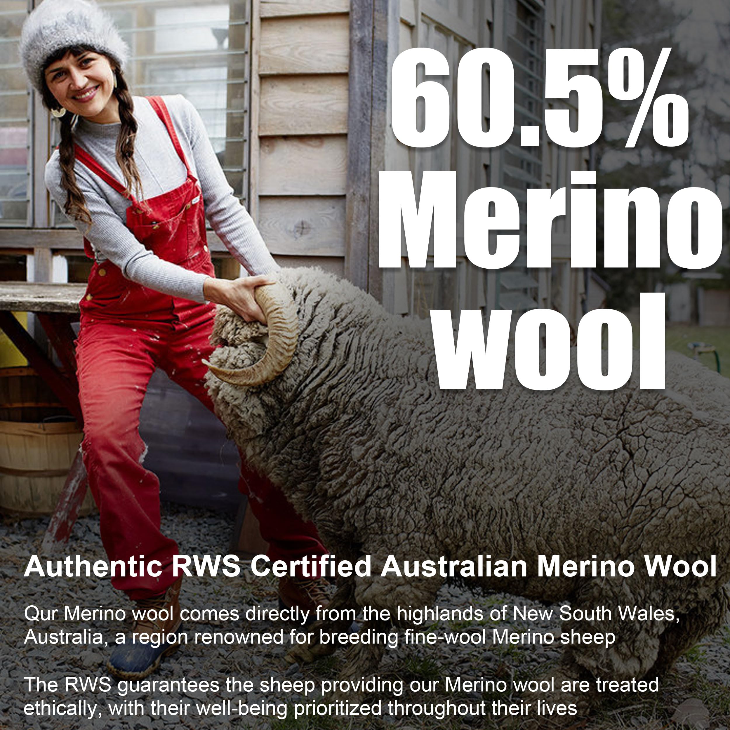 ZEALWOOD Merino Wool No Show Socks pack image highlighting gift-ready set for active lifestyles.