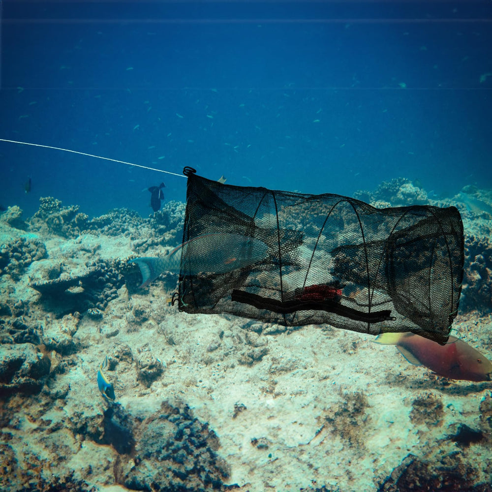 Net folded and portable, ready to fit in a backpack