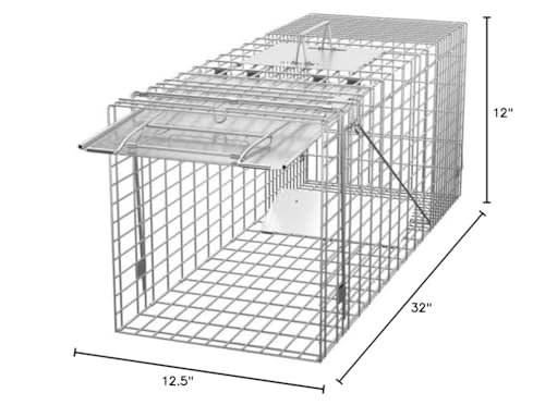 ZENY ready-to-use trap in yard setting for humane relocation.