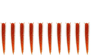 Zerone soft bait set of 10 with lifelike shapes for freshwater bass