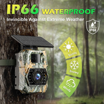 Zivolixd IP66 night vision with 65ft range for clear nocturnal shots