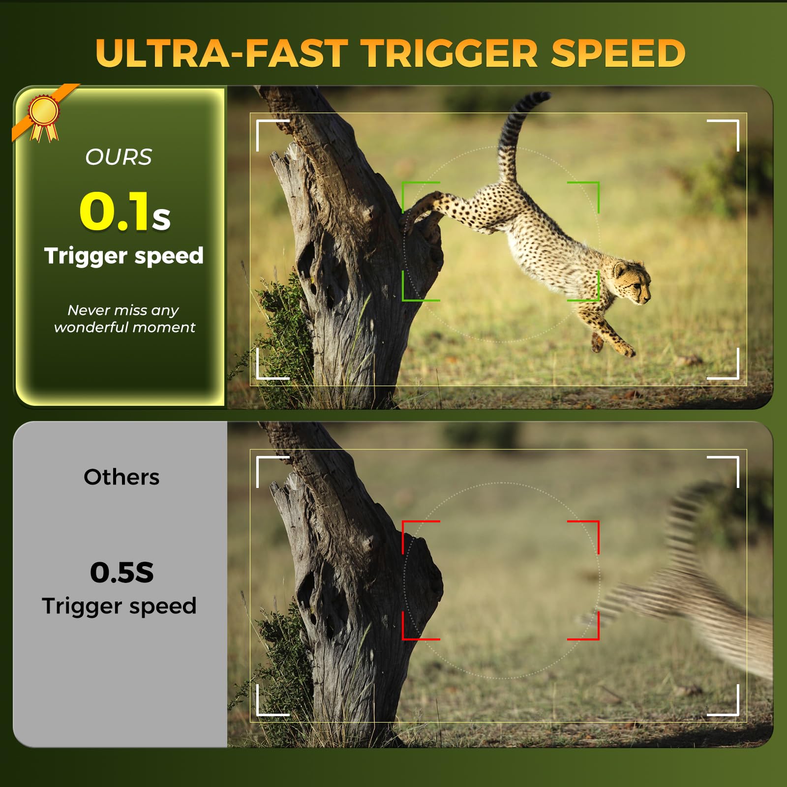 Zivolixd Trail Camera detection-zone view illustrates targeted monitoring areas