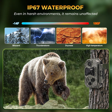 Zivolixd Trail Camera kit image shows eight batteries and 32GB card included