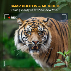 Zivolixd Trail Camera night vision captures bright, clear footage without disturbance