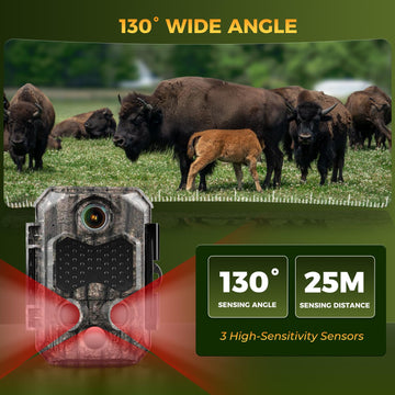 Zivolixd Trail Camera one-click phone pairing for fast access to captures