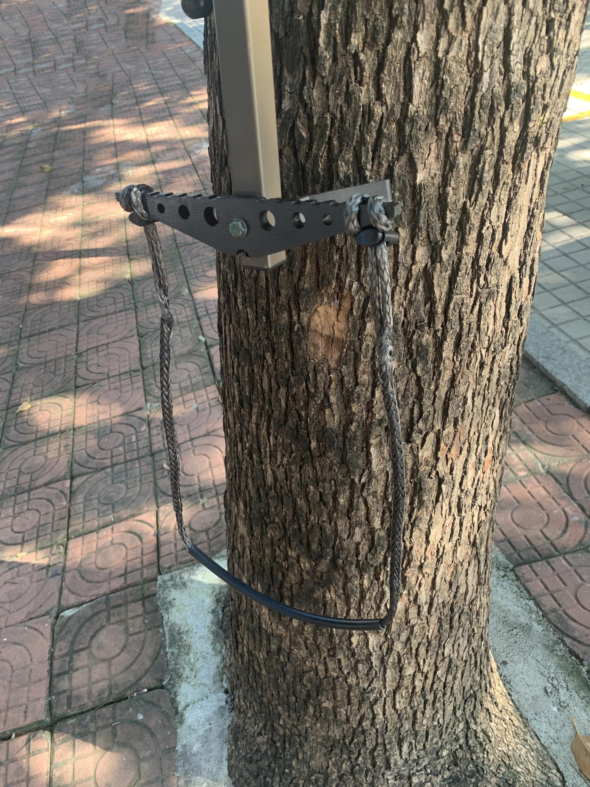 ZIVOXIA Aider attached to a tree stand for elevated access.