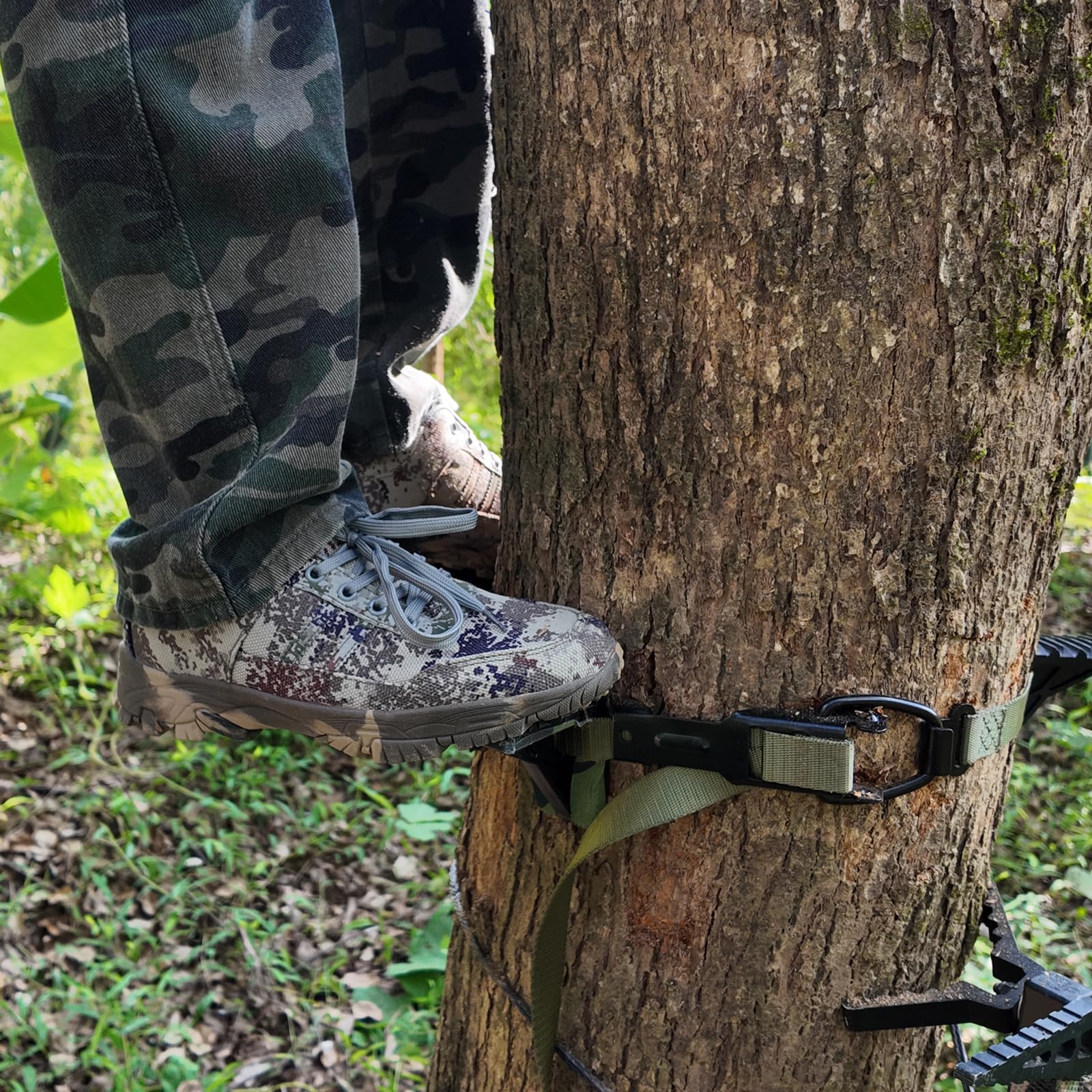 Zivoxia Saddle Steps in use on a tree during a stand transition
