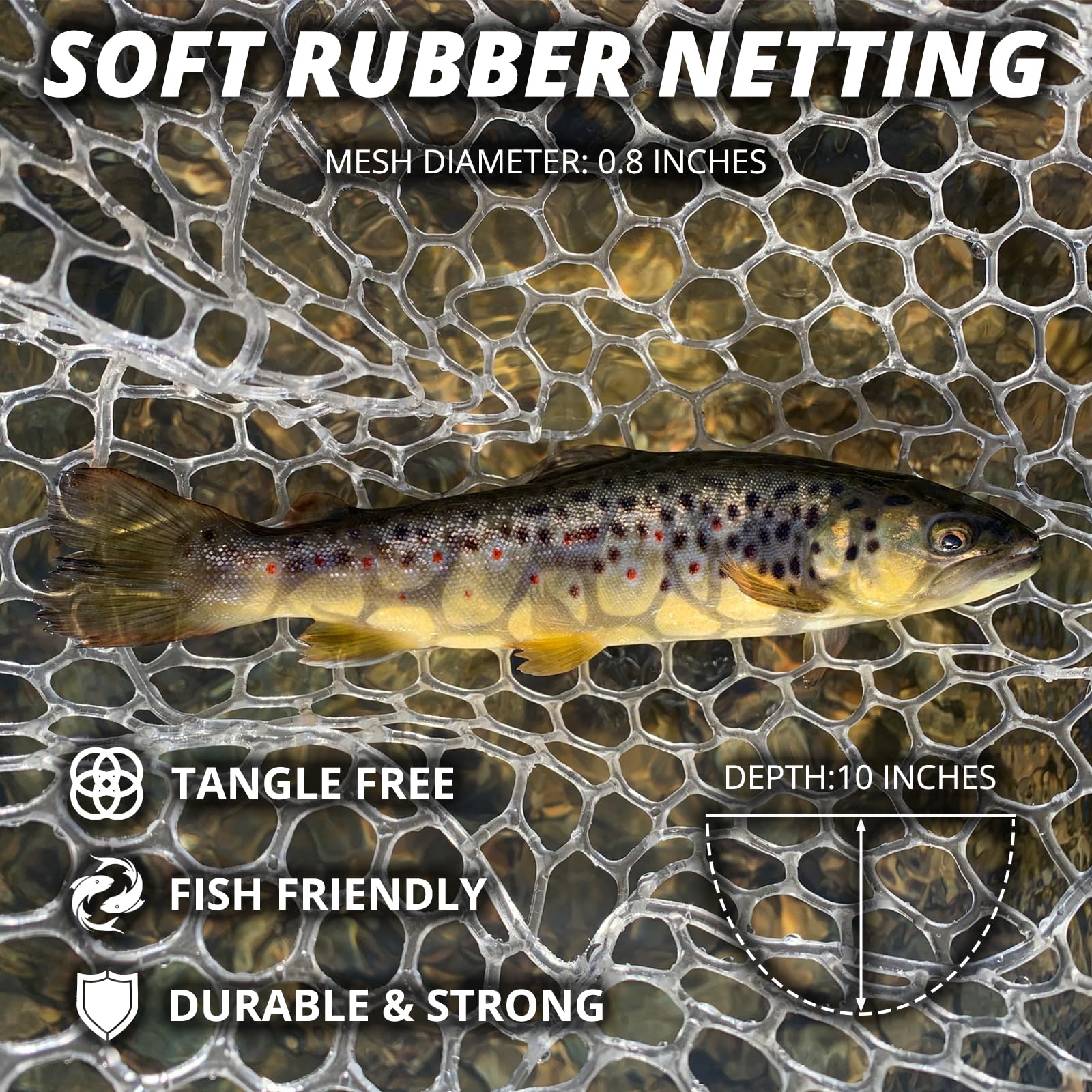 ZOINLIY saltwater-ready net supports reliable performance in mixed waters.