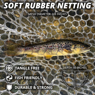 ZOINLIY saltwater-ready net supports reliable performance in mixed waters.