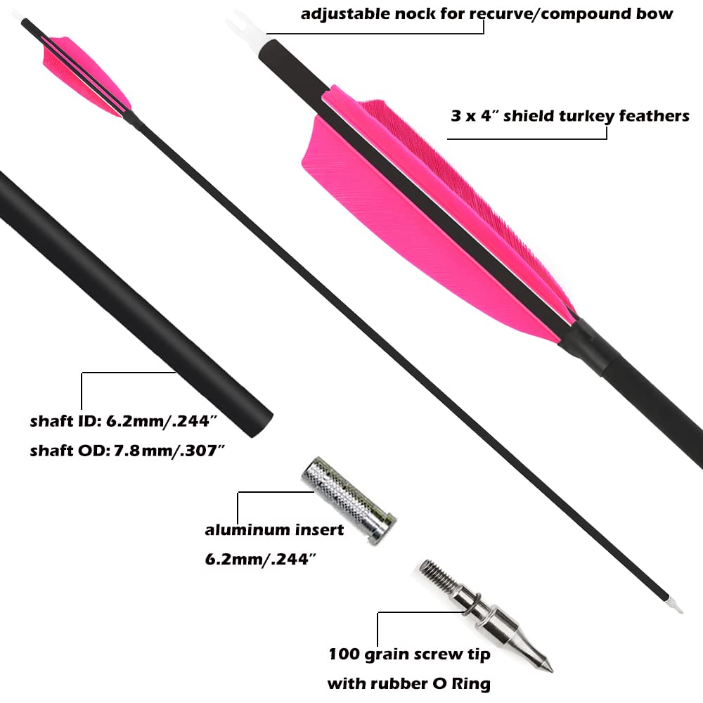 ZSHJGJR 100 grain removable field point for versatile target setups
