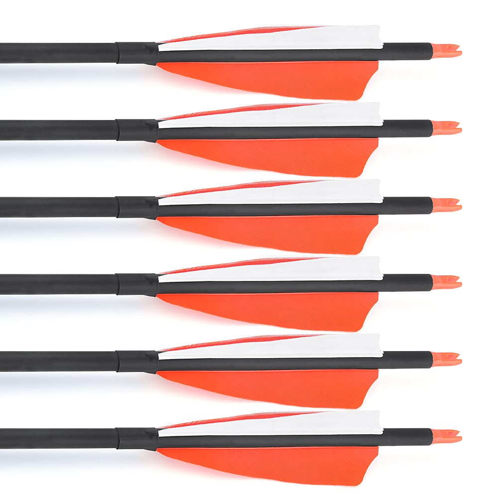 ZSHJGJR 100 grain field points with O-ring for secure screw-in heads.