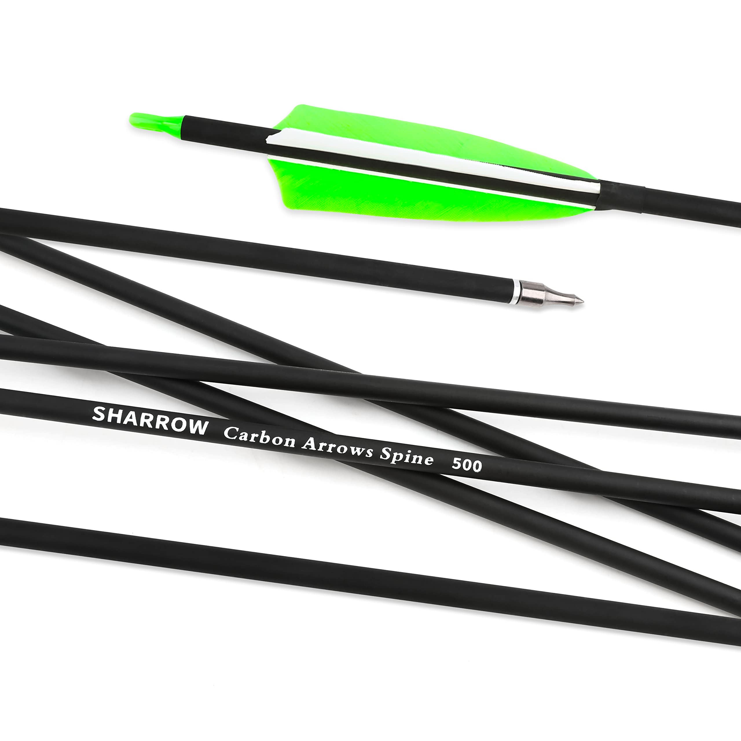 ZSHJGJR 100 grain screw-in field points enable easy replacements.