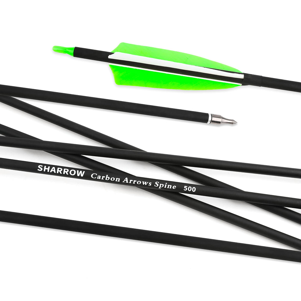 ZSHJGJR 100 grain screw-in field points enable easy replacements.