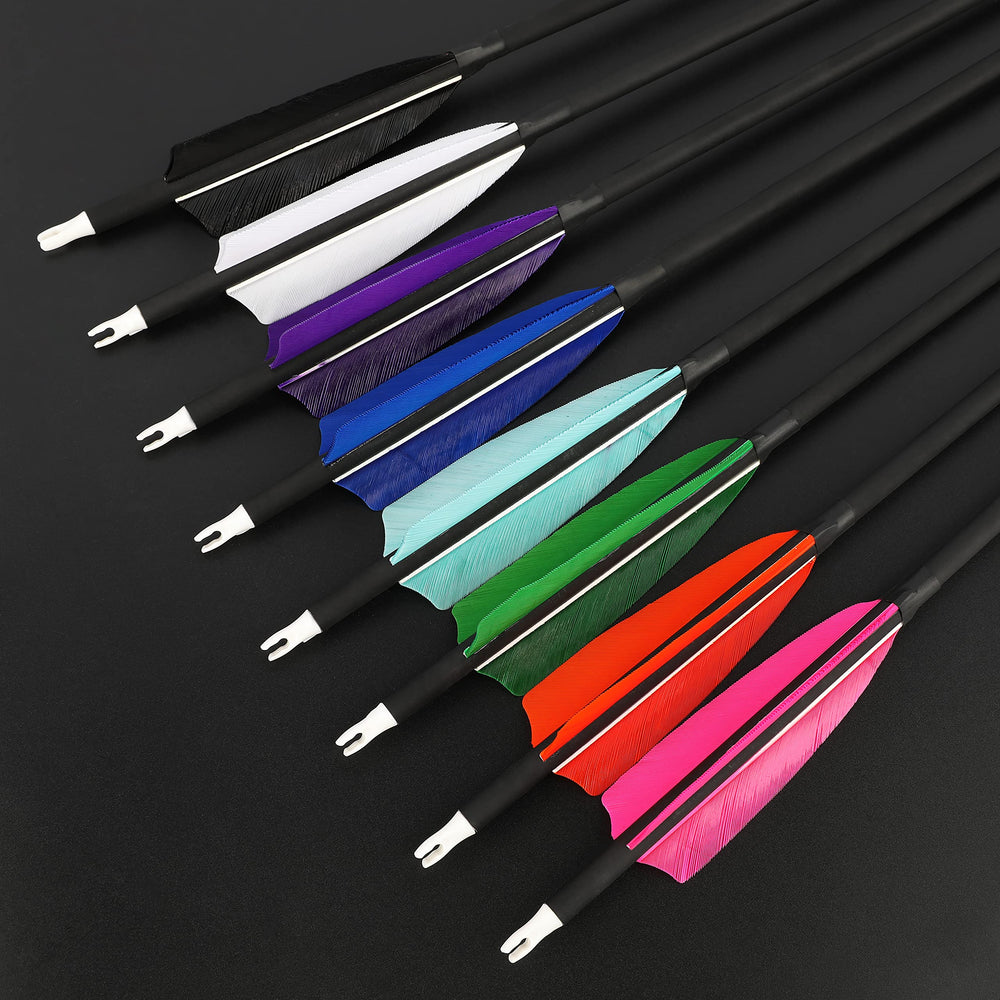 ZSHJGJR 12 piece carbon arrow pack for extended range practice and storage.