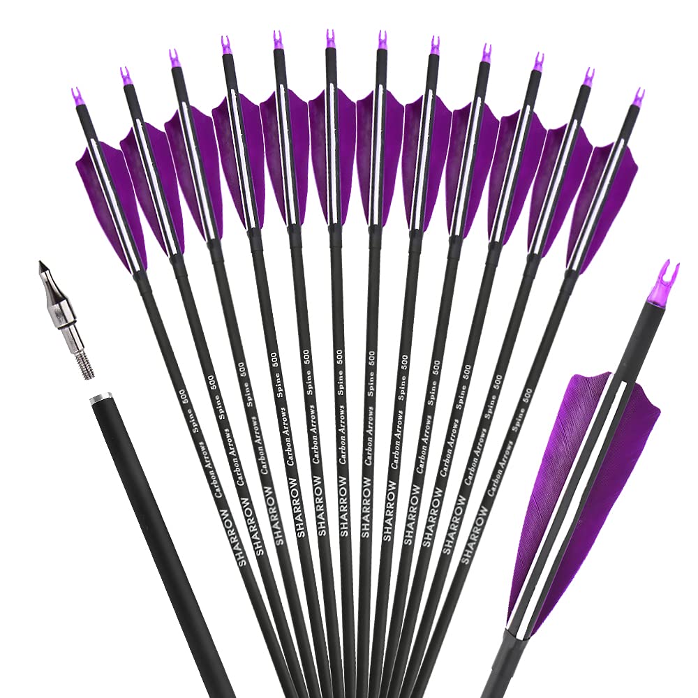 ZSHJGJR 30-inch carbon arrows with purple turkey feather fletching for practice.