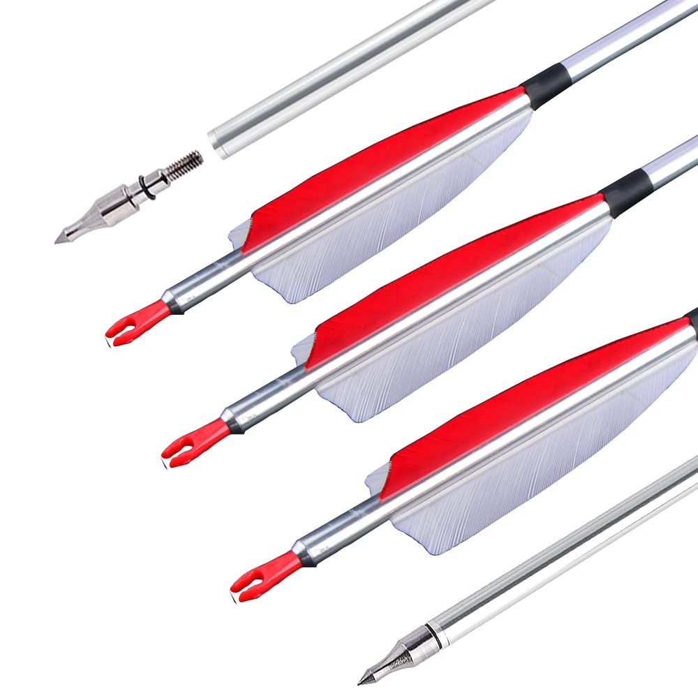 ZSHJGJR 31-inch aluminum arrow with 500 spine supports stable flight for compound and recurve bows