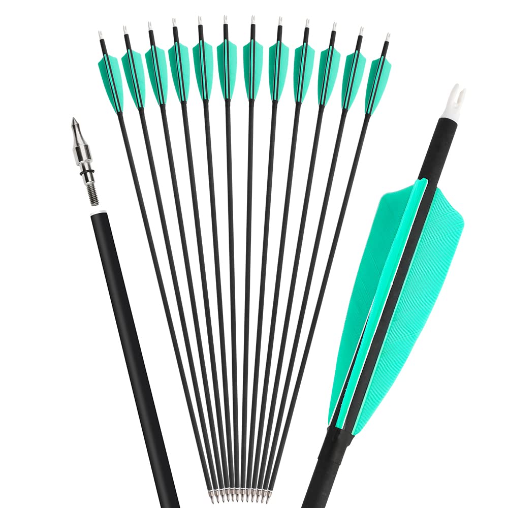 ZSHJGJR 6/12-pack carbon arrows offer solid value for frequent range sessions.