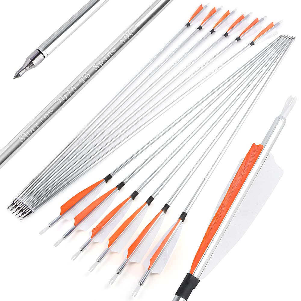 ZSHJGJR arrows deliver low hand shock and consistent speed for target shooting.