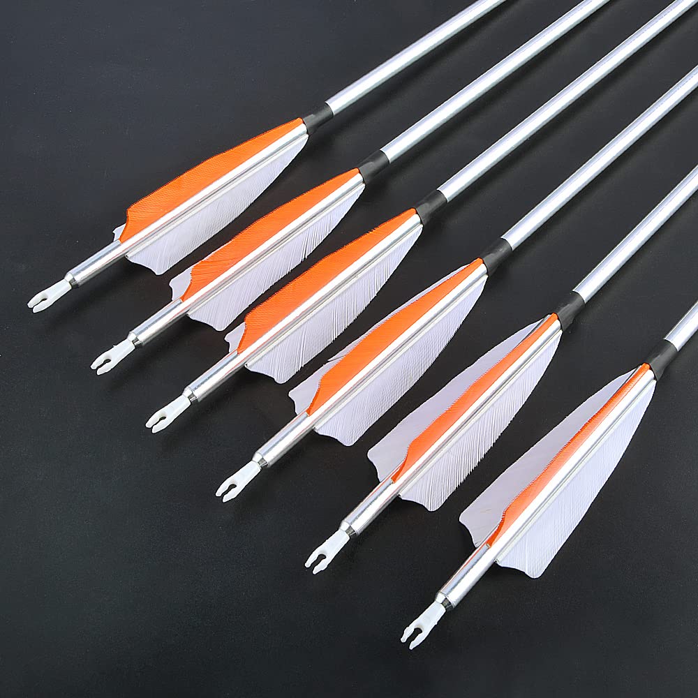ZSHJGJR removable-tip arrows with 100 grain points allow customizable setups for varying conditions.