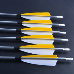 ZSHJGJR removable-100grain-tip archery arrows with swapable heads