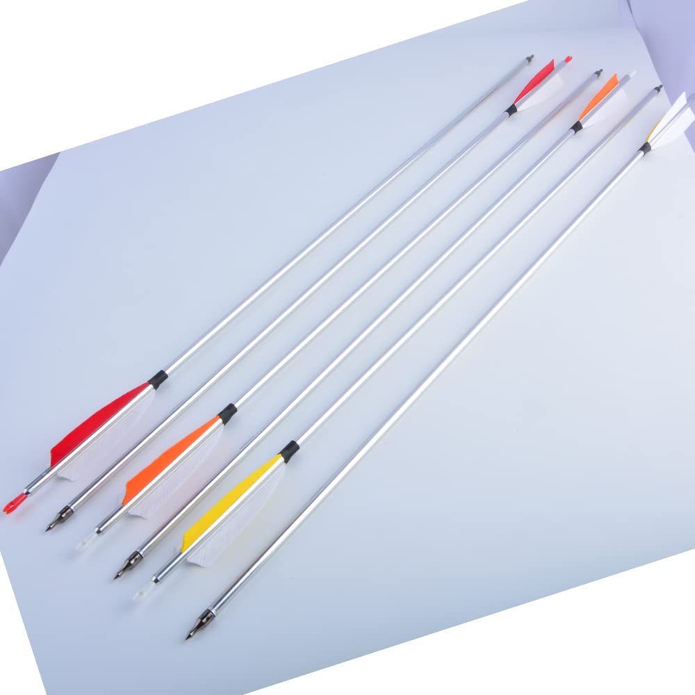 ZSHJGJR 6/12 pack offers hunting and practice options with interchangeable tips