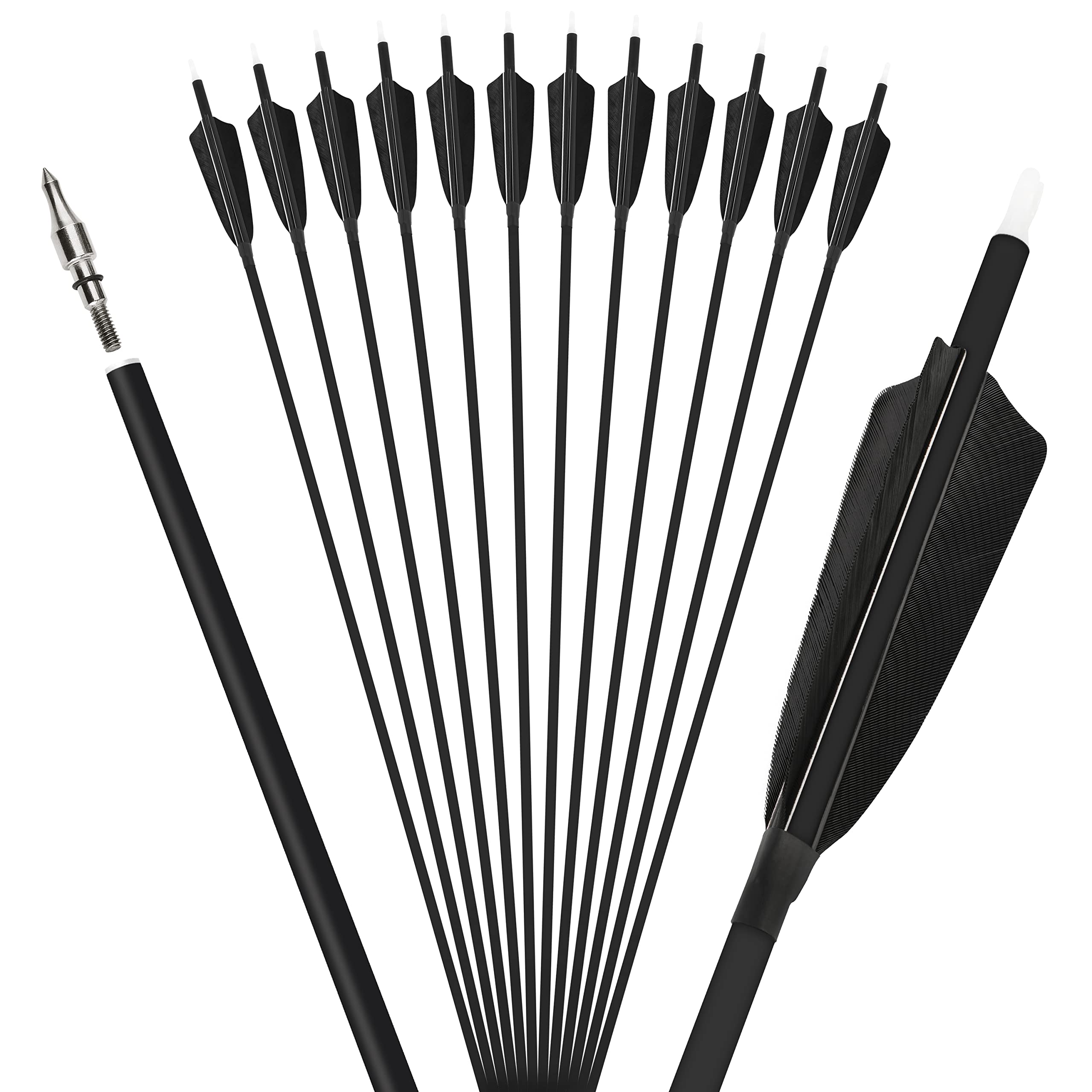 ZSHJGJR 100 grain removable tips enable quick field-point changes.