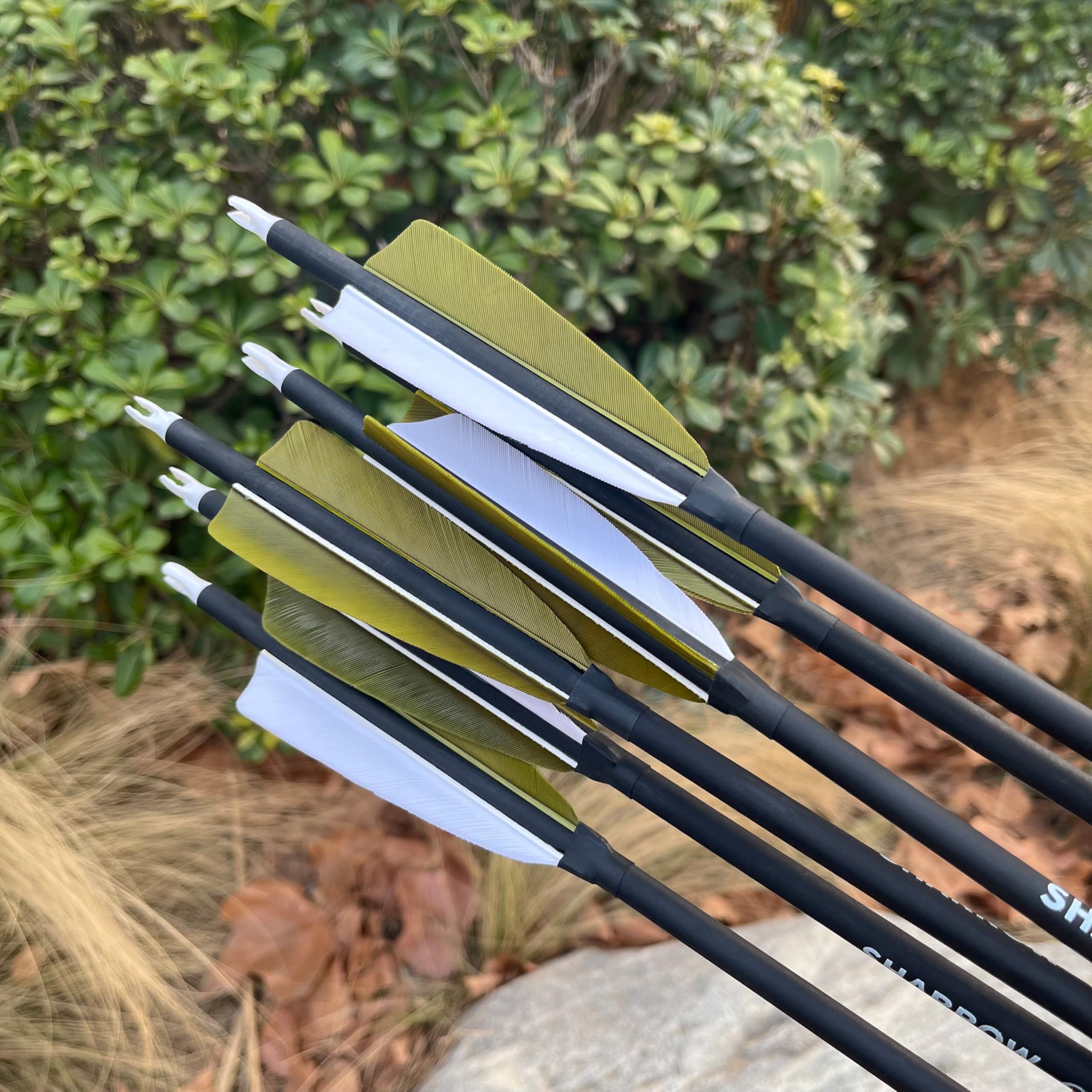 ZSHJGJR 12pc arrow set ready for practice or hunting prep