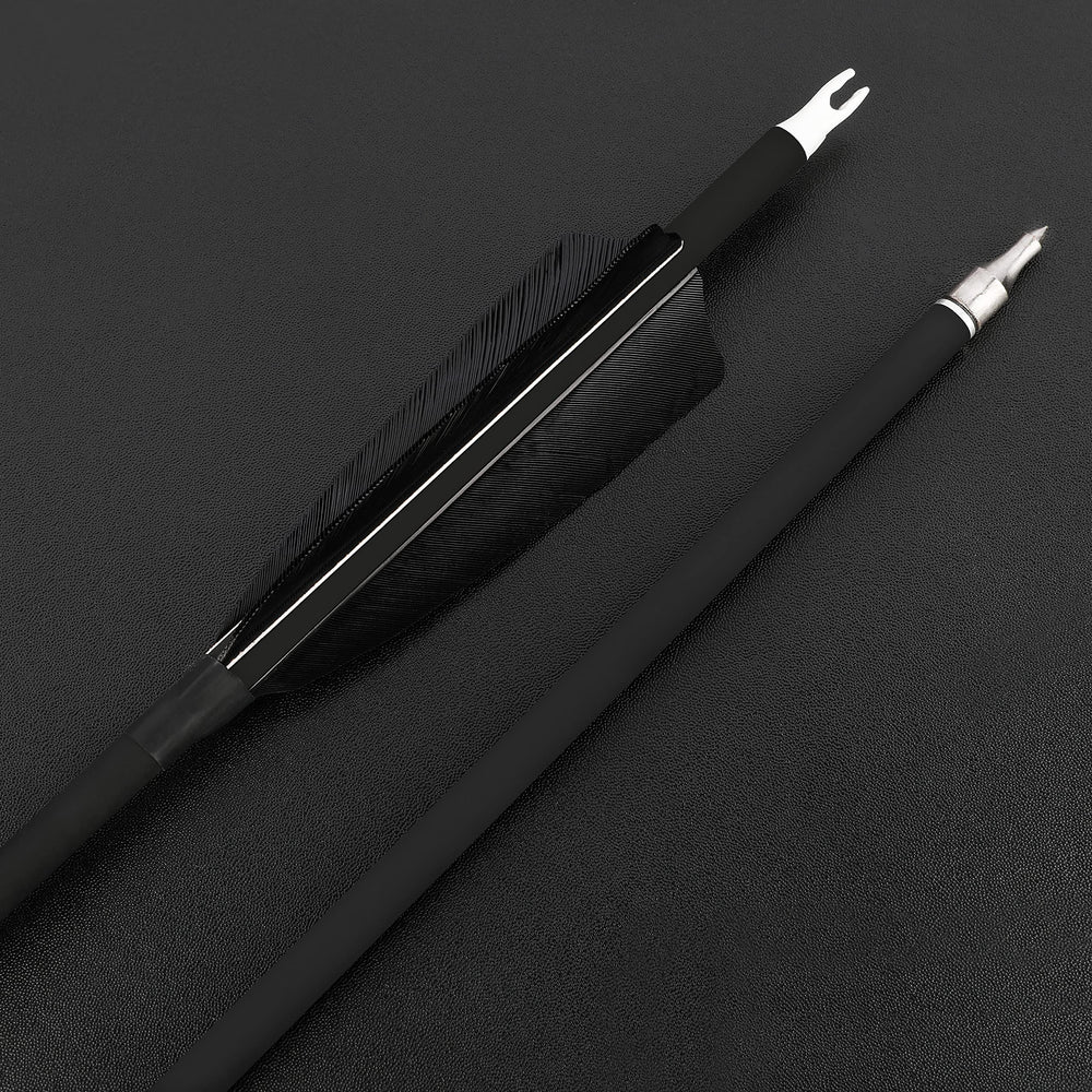 ZSHJGJR twelve-arrow pack provides ample practice options.