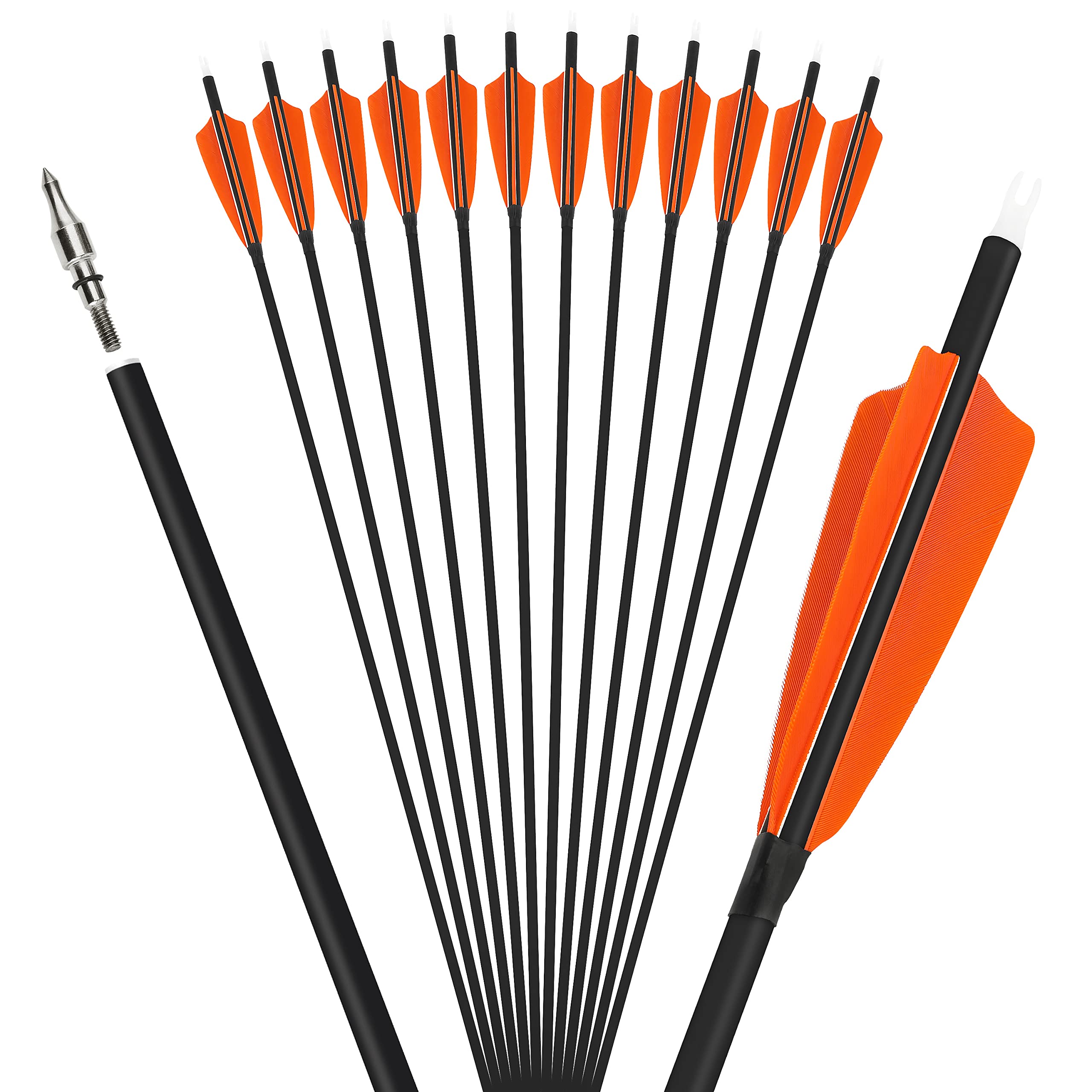 ZSHJGJR arrows compatible with compound, recurve and traditional bows