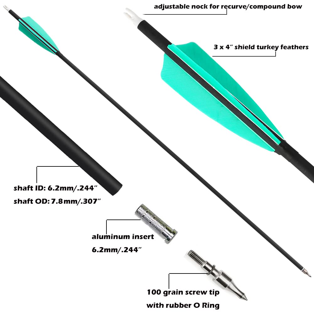 ZSHJGJR 100 grain removable arrowhead enables quick changes for versatile target setups.
