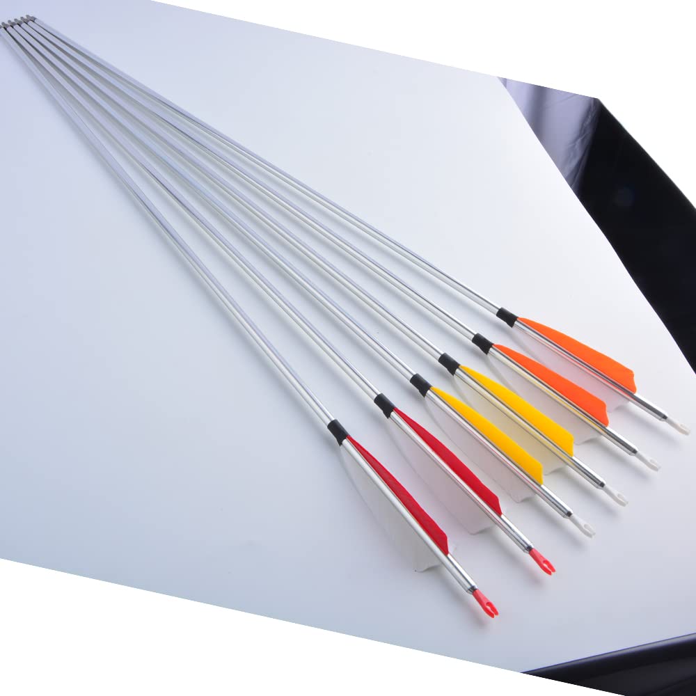 ZSHJGJR practice setup shows arrows in a ready-to-use archery range context