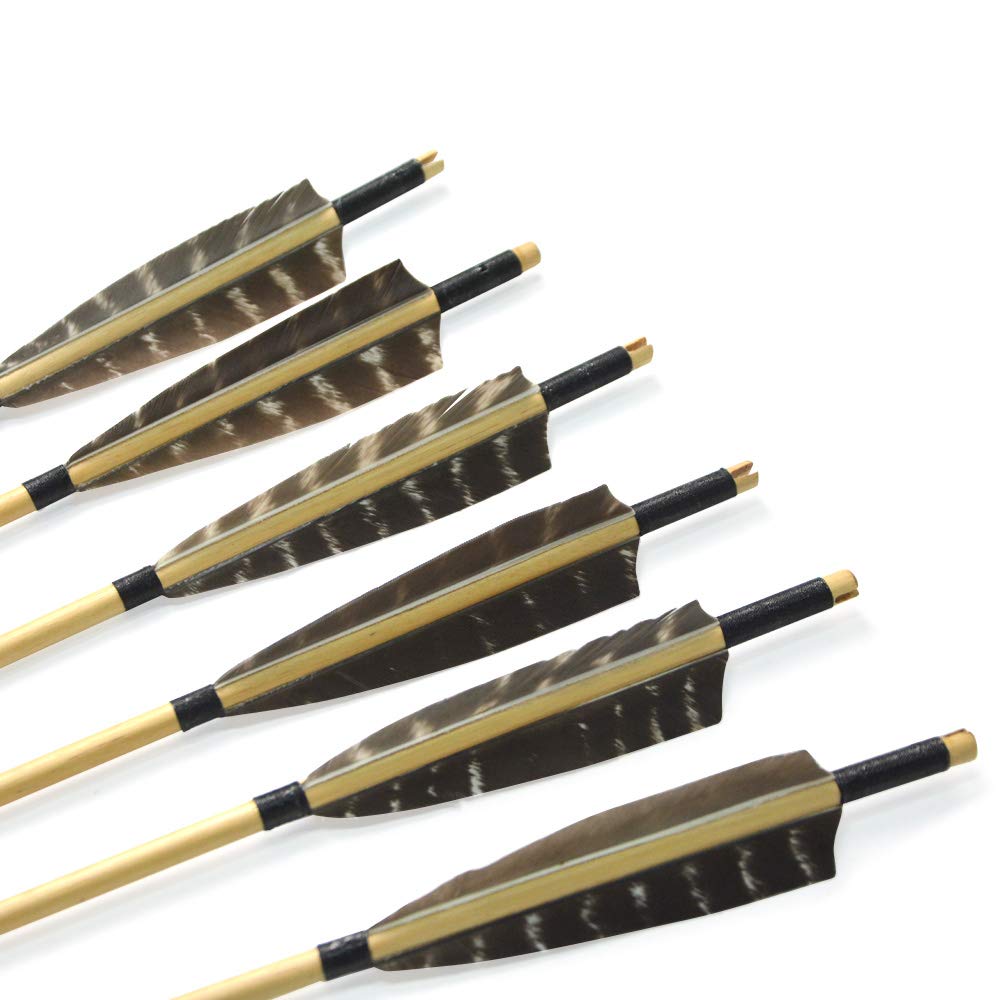 ZSHJGJR turkey-feather fletching stabilizes arrow flight.