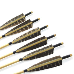ZSHJGJR turkey-feather fletching stabilizes arrow flight.