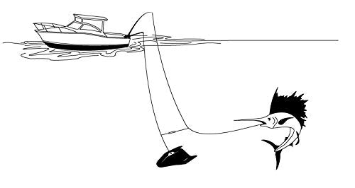 Hydrodynamic design highlight of Zwing 150
