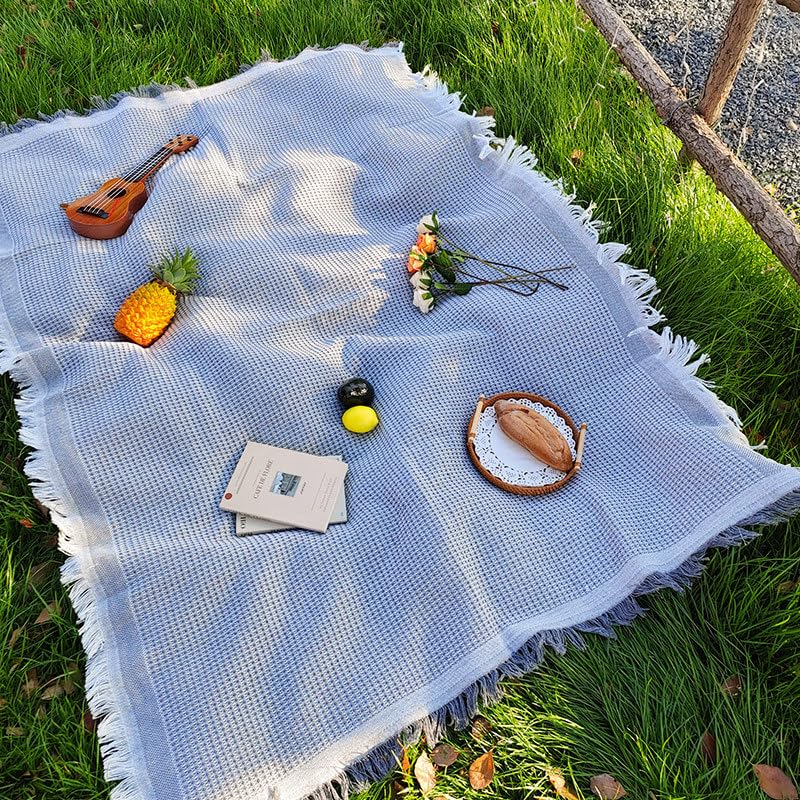 Zyntrytong picnic blanket opened on grass for family picnic